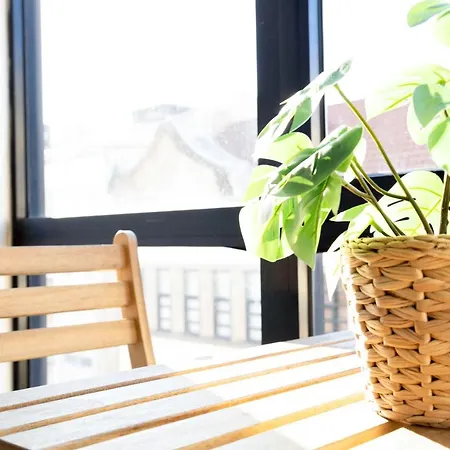 Apartamento Travel & Live Alegria Oporto